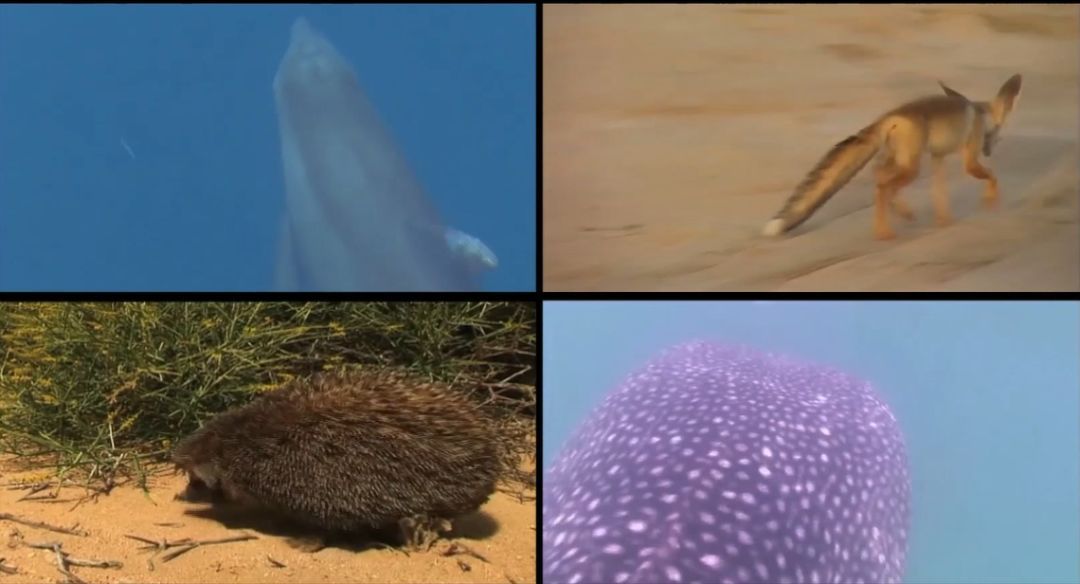 Z6·人生就是博(中国区)有限公司官网