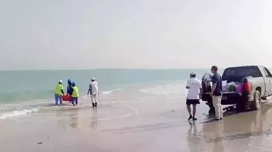 Z6·人生就是博(中国区)有限公司官网