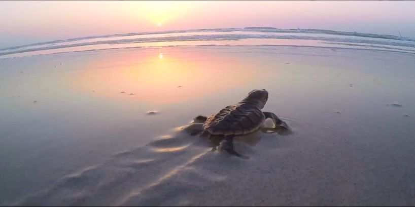 Z6·人生就是博(中国区)有限公司官网