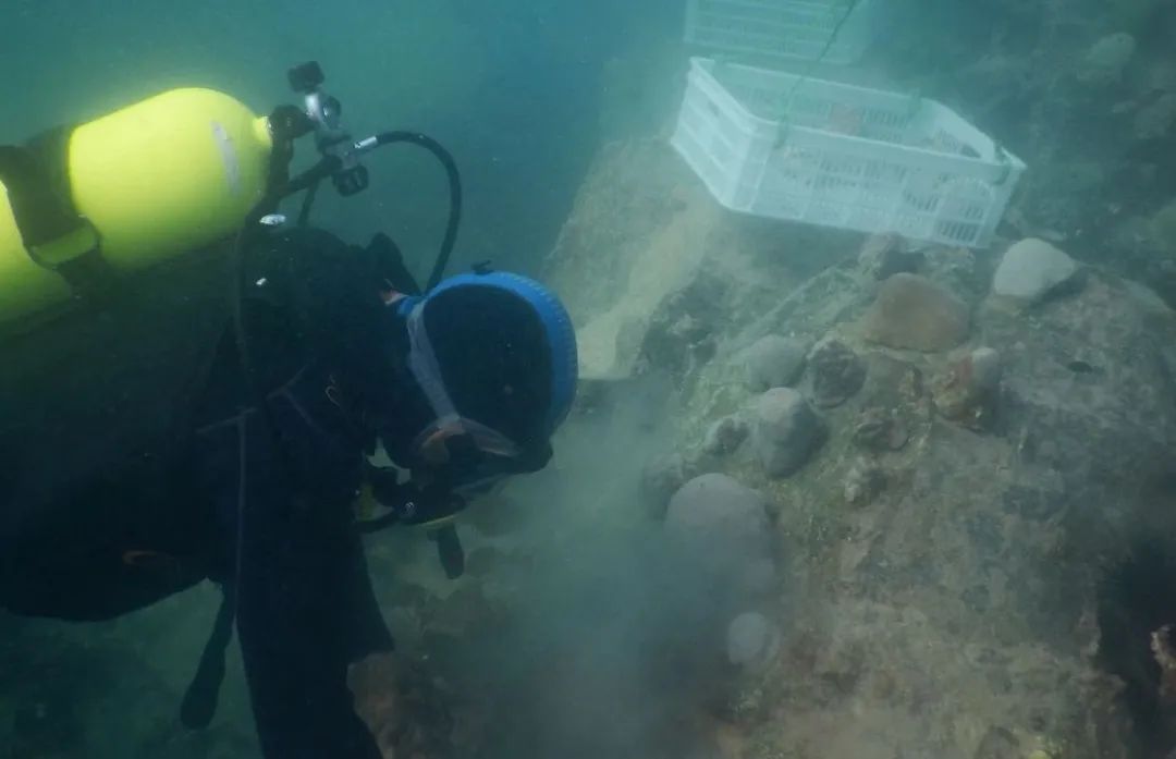 Z6·人生就是博(中国区)有限公司官网