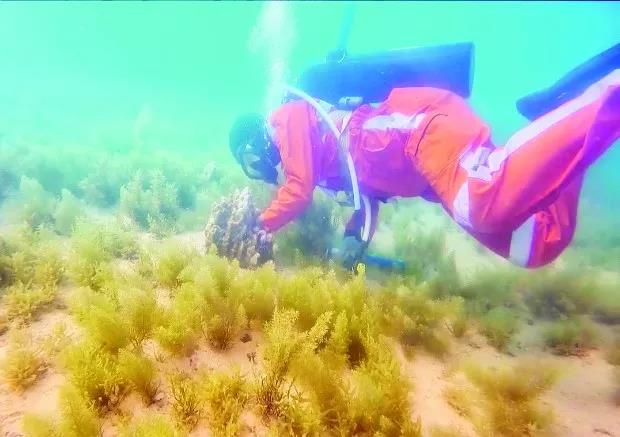 Z6·人生就是博(中国区)有限公司官网