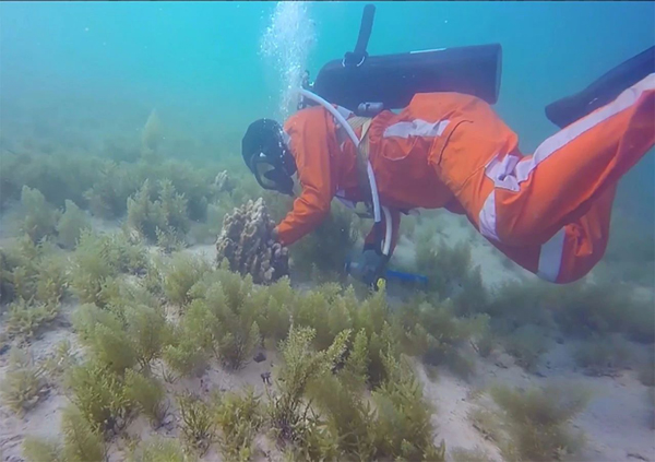 Z6·人生就是博(中国区)有限公司官网