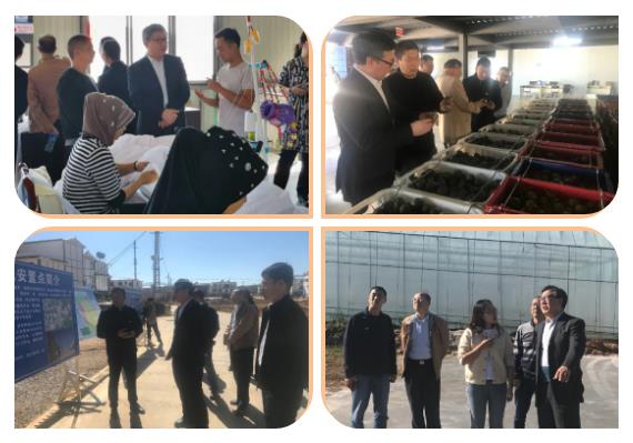 Z6·人生就是博(中国区)有限公司官网