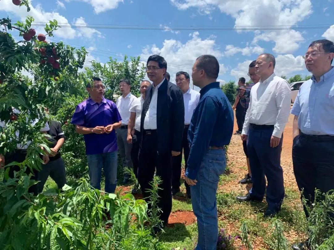 Z6·人生就是博(中国区)有限公司官网