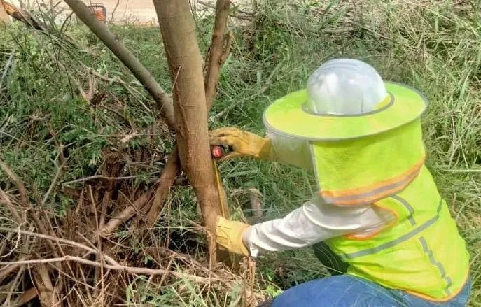 Z6·人生就是博(中国区)有限公司官网