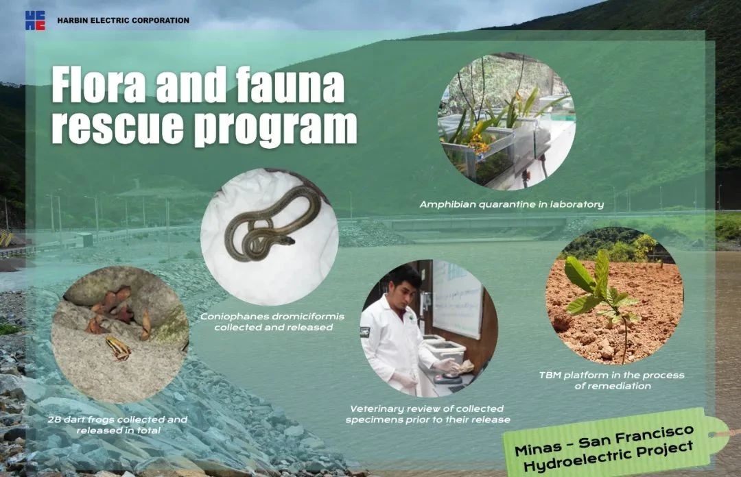 Z6·人生就是博(中国区)有限公司官网