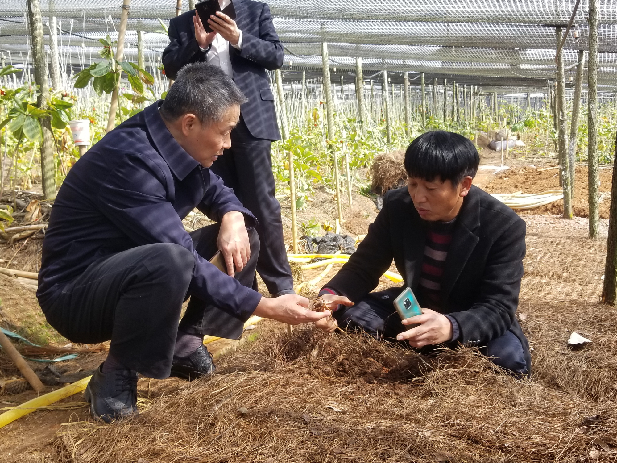 Z6·人生就是博(中国区)有限公司官网