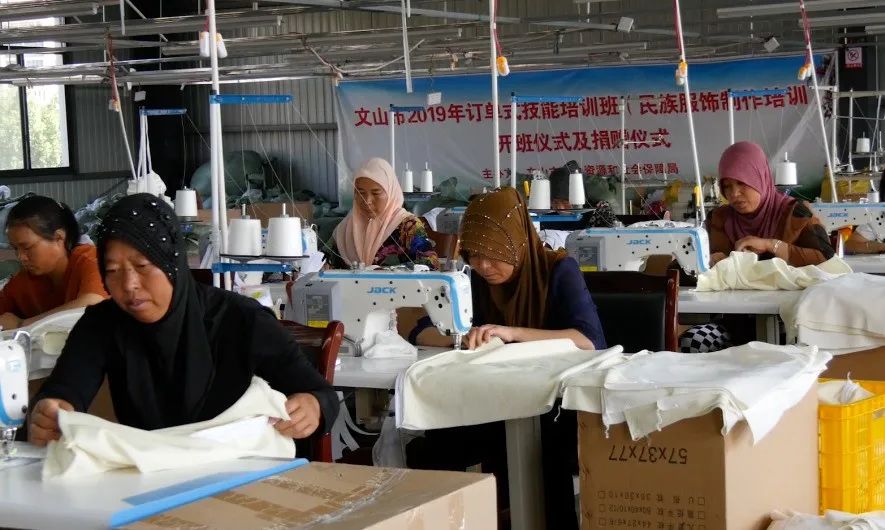 Z6·人生就是博(中国区)有限公司官网