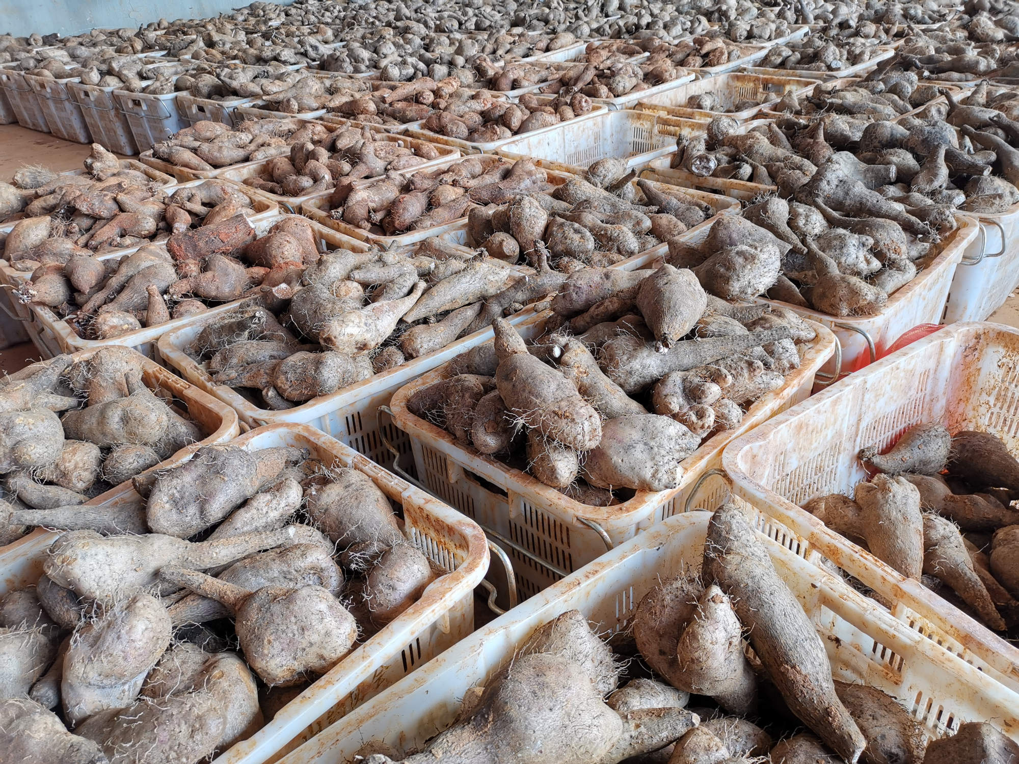 Z6·人生就是博(中国区)有限公司官网